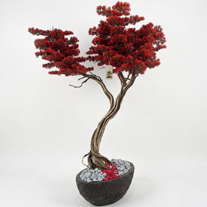 Bonsai