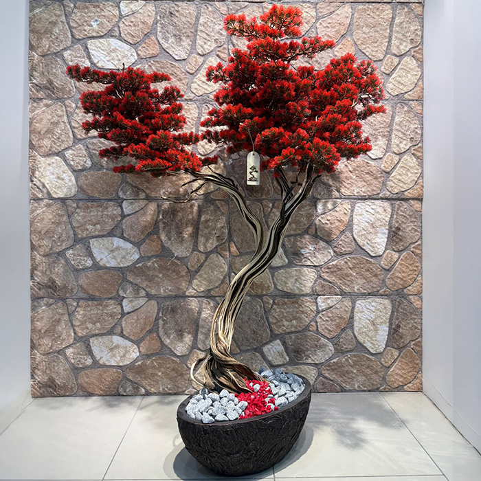 Bonsai - Görsel 4