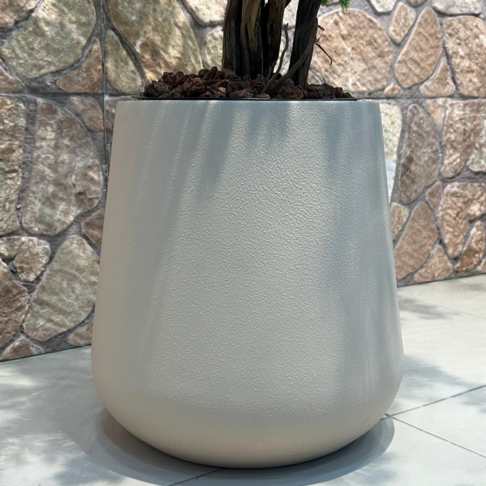 Bonsai - Görsel 6