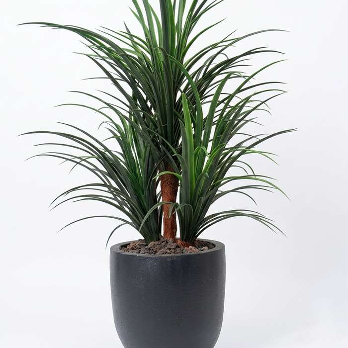 Sazlık Yuka